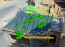 عار0503115674 القاضي